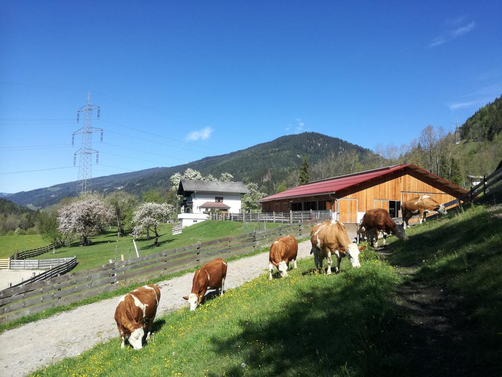 Saumerhof シュラートミンク エクステリア 写真